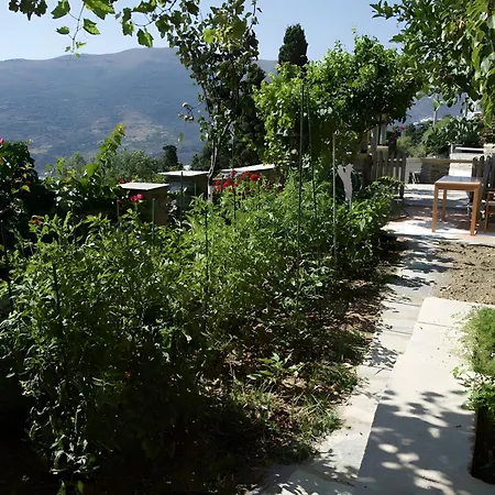Alba Andros Feriehus